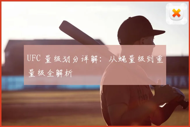 UFC 量级划分详解：从蝇量级到重量级全解析