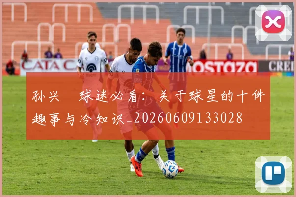 孙兴慜球迷必看:关于球星的十件趣事与冷知识_20260609133028