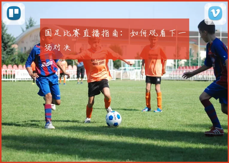国足比赛直播指南:如何观看下一场对决