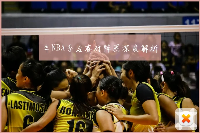 年NBA季后赛对阵图深度解析
